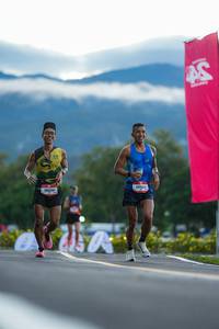 BIB: 
                            <button type="button" onclick="openModal(26557709)" class="btn btn-primary btn-sm float-right btn-popup" data-toggle="modal" data-target=".modal-high-quality">
                        <i class="fas fa-shopping-cart"></i> Add to Cart
                    </button>
                                            <button type="button" onclick="isThisMe(26557709, true)" class="btn btn-success btn-sm float-right btn-popup btn-isme hidden" data-toggle="tooltip" data-placement="bottom" title="นี่คือรูปของคุณใช่ไหม คลิกที่นี่เพื่อเอาเข้าอัลบั้ม">
                        <i class="fas fa-plus"></i> Add to album
                    </button>
                    <button type="button" onclick="isThisMe(26557709, false)" class="btn btn-warning btn-sm float-right btn-popup btn-isnotme hidden">
                        <i class="fas fa-ban"></i> Remove from album
                    </button>